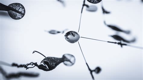 How to Fish Umbrella Rigs for Bass - Major League Fishing