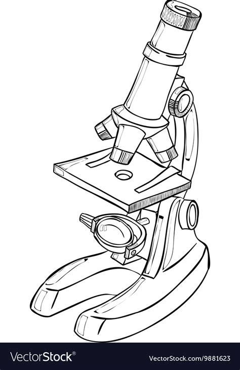 Image result for Biological Drawing of Compounb Light Microscope