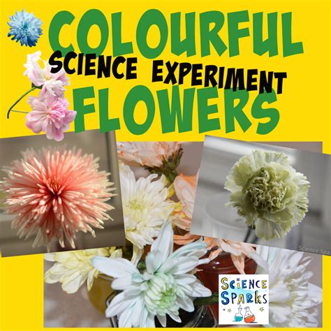 Image result for Spring Science Activities