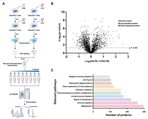 Lipopolysaccharide Tolerance Enhances Murine Norovirus Reactivation: An ...