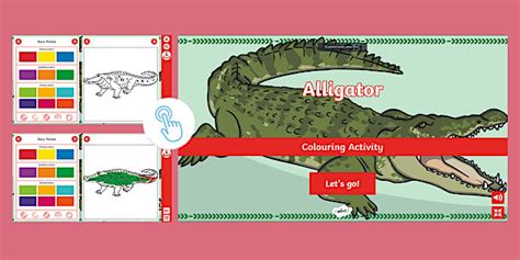 Alligator Interactive Colouring (teacher made) - Twinkl