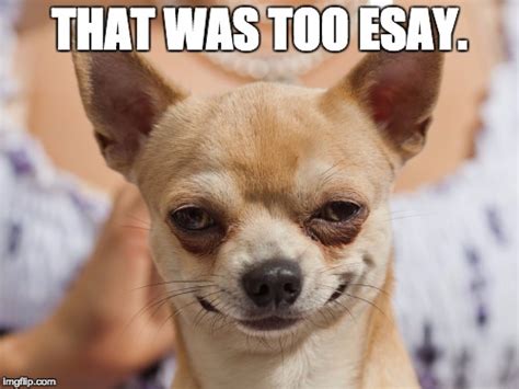 Image result for Technical Script Example