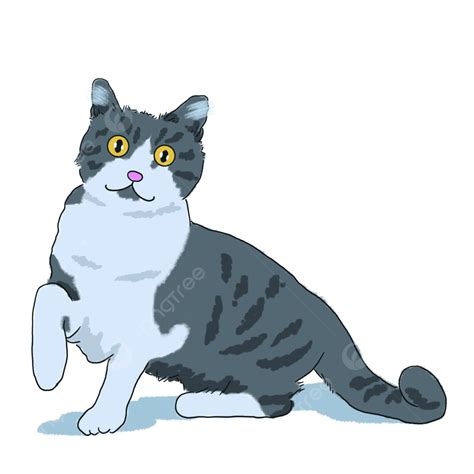 Lindo Gatito Inglés Pintado A Mano PNG ,dibujos Dibujos Animados ...