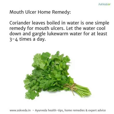 mouth ulcer in child home remedies