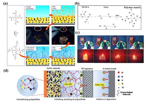 Polymer Electrolytes for Lithium-Sulfur Batteries: Progress and Challenges