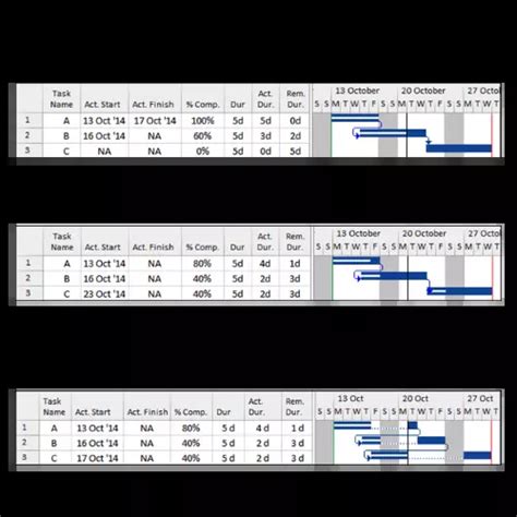 Image result for Microsoft Project Schedule Update Progress