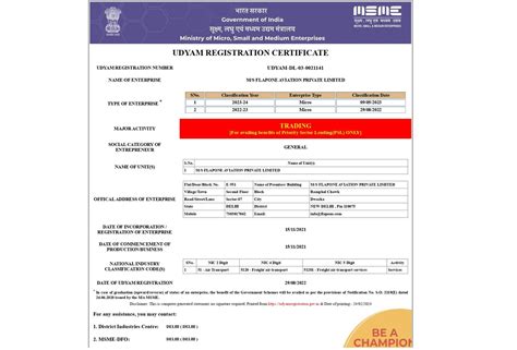 Proudly Announcing: Flapone Aviation is Now a Registered Small Business ...