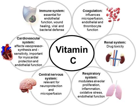 Frontiers | An update of the effects of vitamins D and C in critical illness