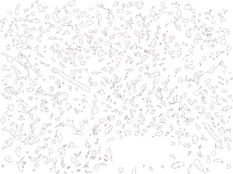 ImageJ Particle Analysis 的图像结果