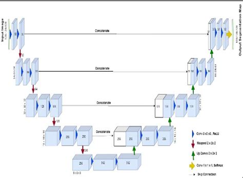 Image result for Decathlon Brain Segmentation Code