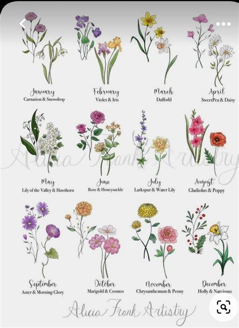 What Are The Month Birth Flowers at Charles Nunnally blog