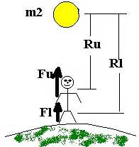 What Is Tidal Force 的图像结果