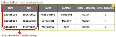 Image result for Contoh Candidate Key