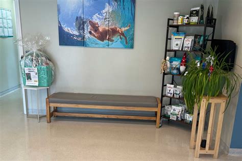 Main Street Veterinary Hospital Tour | Millis Vet Hospital