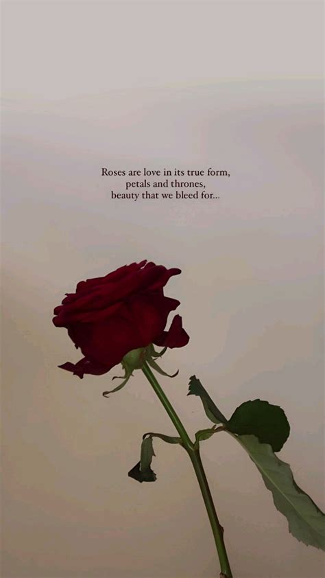 Roses are Love - Red Rose Quote
