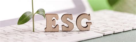 Business Responsibility and Sustainability Reporting (BRSR ...