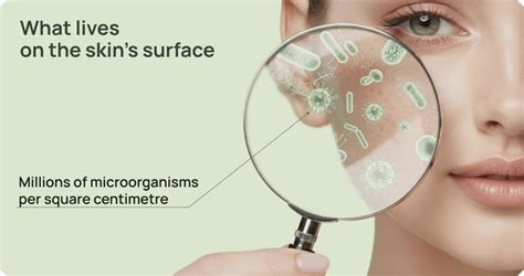 What Is Microbiome Skincare and Why It Is Redefining Cosmetic ...