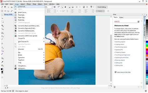 Image result for Remove Background in Corel
