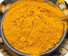 Nani Agro Foods - Agro Food Products Processing Company in India