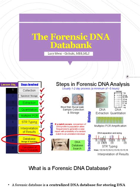 DNA Database 的图像结果