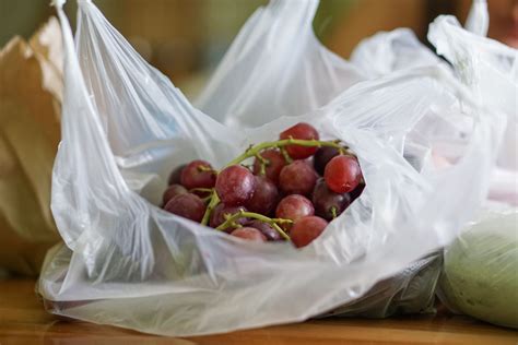New Zealand will ban plastic bags for good - Social Good