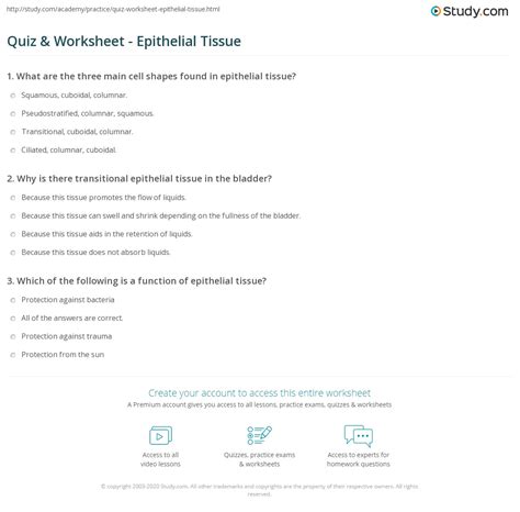 Quiz & Worksheet - Epithelial Tissue | Study.com