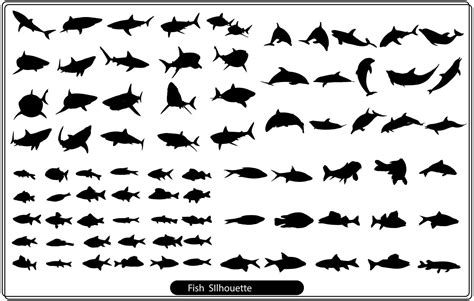 Clases y tipos de pescado. varios peces de agua dulce. ilustraciones ...