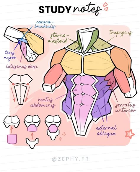 💫 ZEPHY | Drawing tips (@zephy.fr) • Instagram photos and videos Human Body Drawing, Human ...