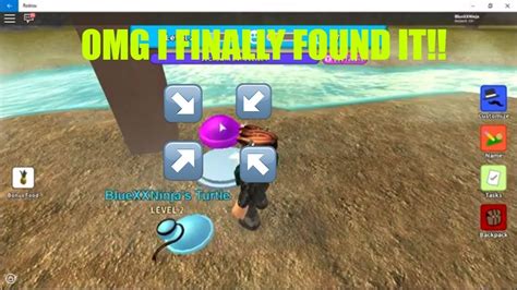 Image result for Roblox Turtle Shell