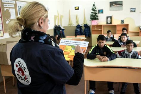 FOUR PAWS Eastern Europe Programme - FOUR PAWS International - Animal ...