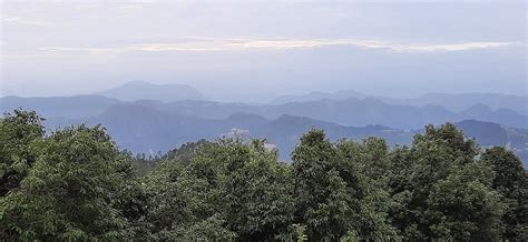 TREE OF LIFE JUNOON IN THE HILLS, KUMAON (Siltona) - Guesthouse Reviews ...