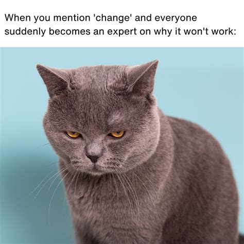 20 Memes About Change at Work: Change Inspiration & Motivation | The ...