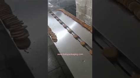 Image result for Batch Coding in Biscuits Pack Machine