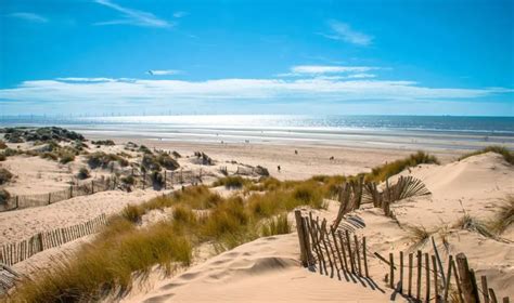 Maghull Go Local 的图像结果