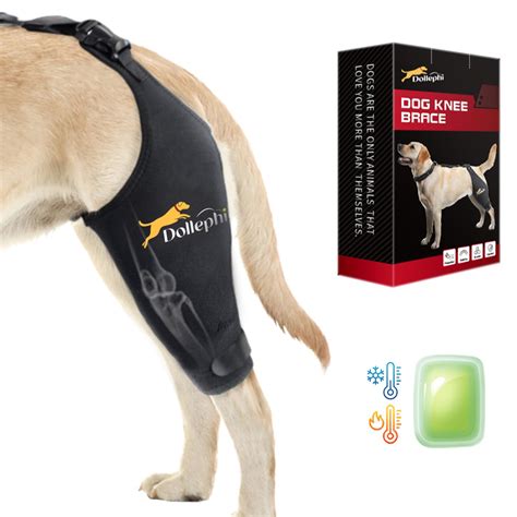 Dollephi Dog Knee Brace for Torn ACL Hind Leg, Hot/Cold Compress for ...
