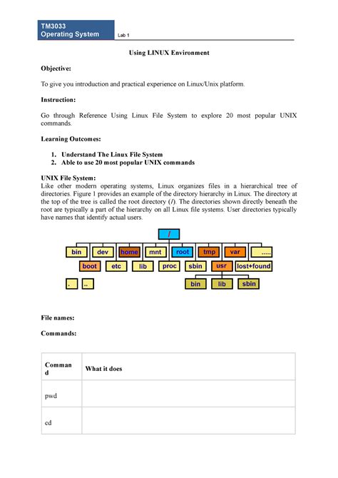 Coursera Updating Software in Linux Lab 的图像结果