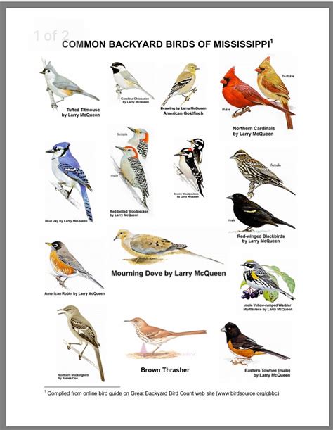 Missouri Bird Identification