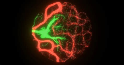 Image result for Particle Trail Showcase