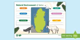 The Environment Around Us PowerPoint
