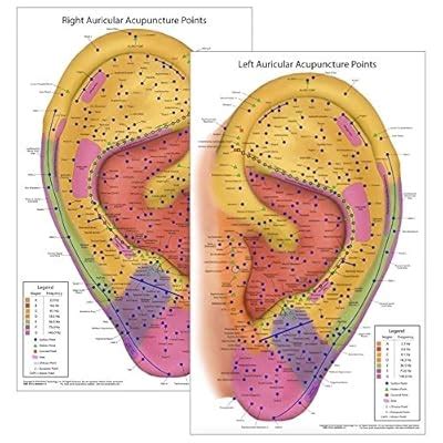 Miridia Acupuncture Technology Ultimate Auriculotherapy Reference Card ...