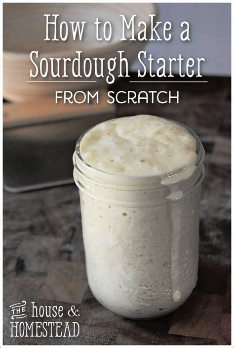 How to make a sourdough starter from scratch – Artofit