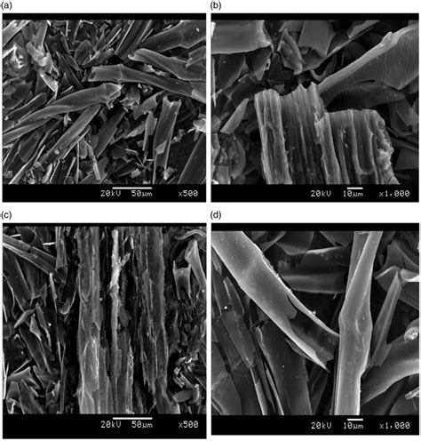 Imaging Signal Resolution for Sem 的图像结果