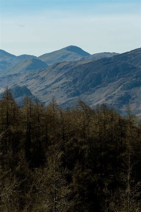 Download wallpaper 800x1200 mountains, peaks, forest, trees, landscape ...