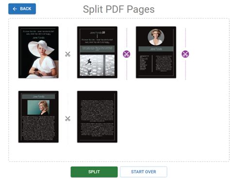 Image result for How To Split Pdf Into Multiple Files
