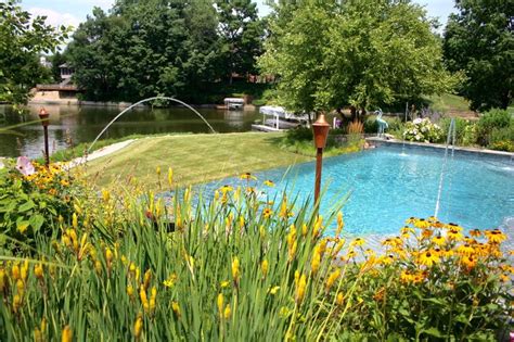 Image result for Privacy Pool Landscaping