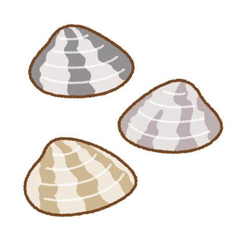 関連する画像の詳細をご覧ください。アサリのイラスト | 商用OKの無料イラスト素材サイト ツカッテ