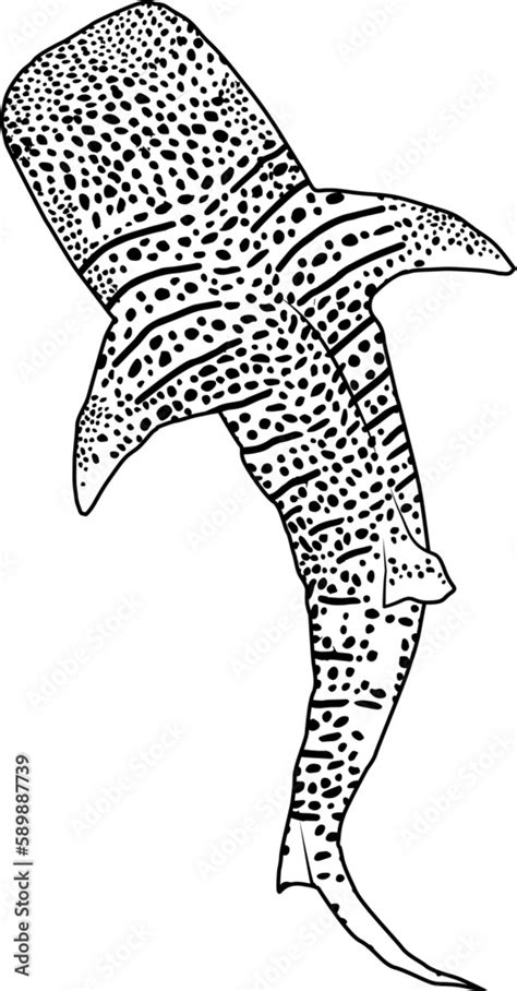 Image result for Student Project Proposal Example