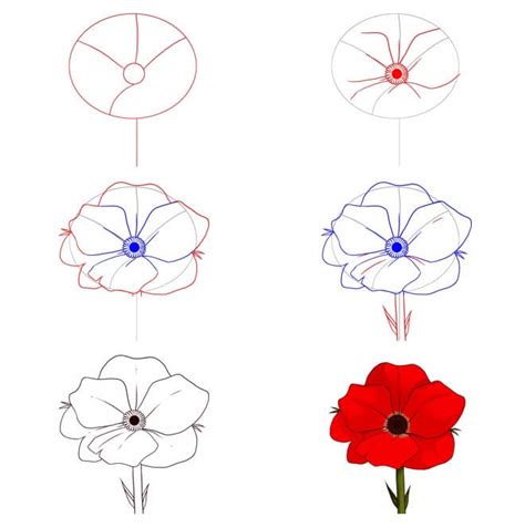 20+ Easy and Beautiful Poppy Flower Drawing Ideas - Drawing Photos