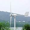 Buy NINILADY 1500w Wind Turbine 12v 24v 48v 3 Phase AC Wind Generator ...