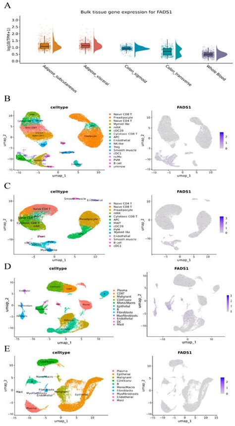 Shared Plasma Metabolites Mediate Causal Effects of Metabolic Diseases ...